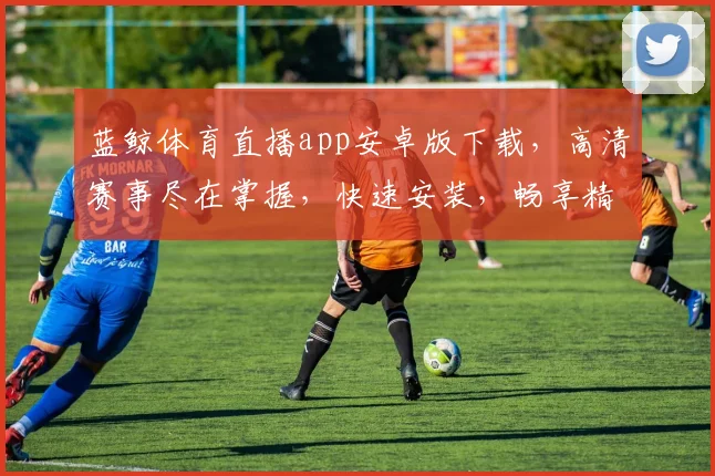 蓝鲸体育直播app安卓版下载，高清赛事尽在掌握，快速安装，畅享精彩，不容错过，体验非凡