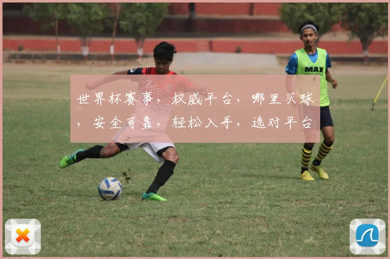 世界杯赛事，权威平台，哪里买球，安全可靠，轻松入手，选对平台，享受激情