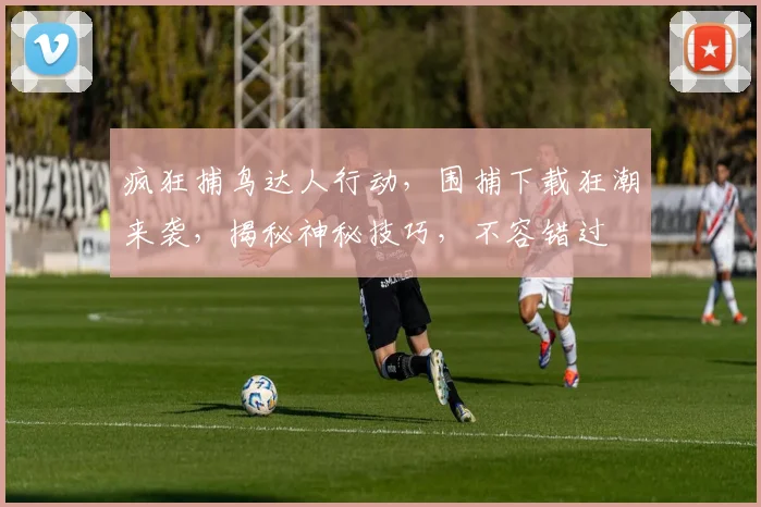疯狂捕鸟达人行动，围捕下载狂潮来袭，揭秘神秘技巧，不容错过