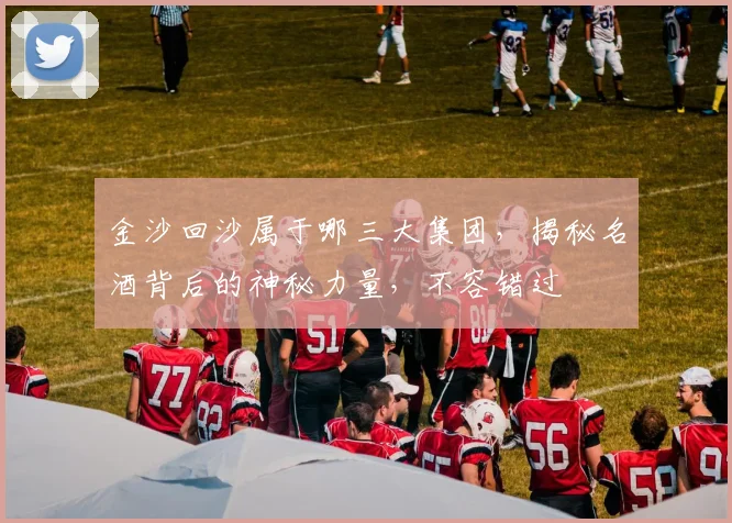 金沙回沙属于哪三大集团，揭秘名酒背后的神秘力量，不容错过