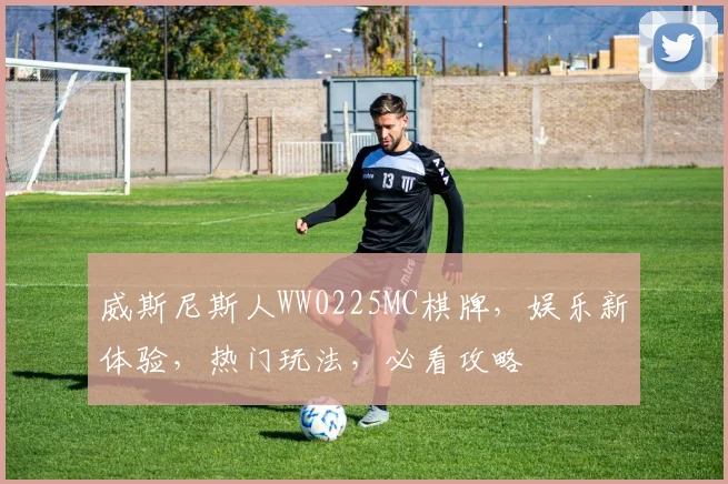 威斯尼斯人WW0225MC棋牌，娱乐新体验，热门玩法，必看攻略